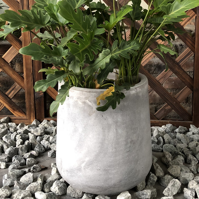 Brenno Round large Tall Outdoor / Indoor Concrete Planters Plant Pot, 13.3" H x 11.6" W x 11.6" D, White