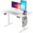 Hrithvik  Height Adjustable Computer Standing Desk with Storage Bag for Home Office-1653826737-1653826736