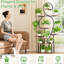 Support pour plante d'intérieur à 9 niveaux avec culture, présentoir en métal de grand style pour plusieurs plantes au balcon, couleur noyer et noir, plantes horizontales à tablettes ouvertes, combinaison de couleurs, orientation