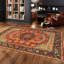 Oriental Area Rug-1690325963