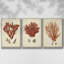 Ensemble de 3 toiles tendues Shell Collection-1798601486-1798601473
