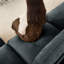 Canapé Comfort U-1164441113