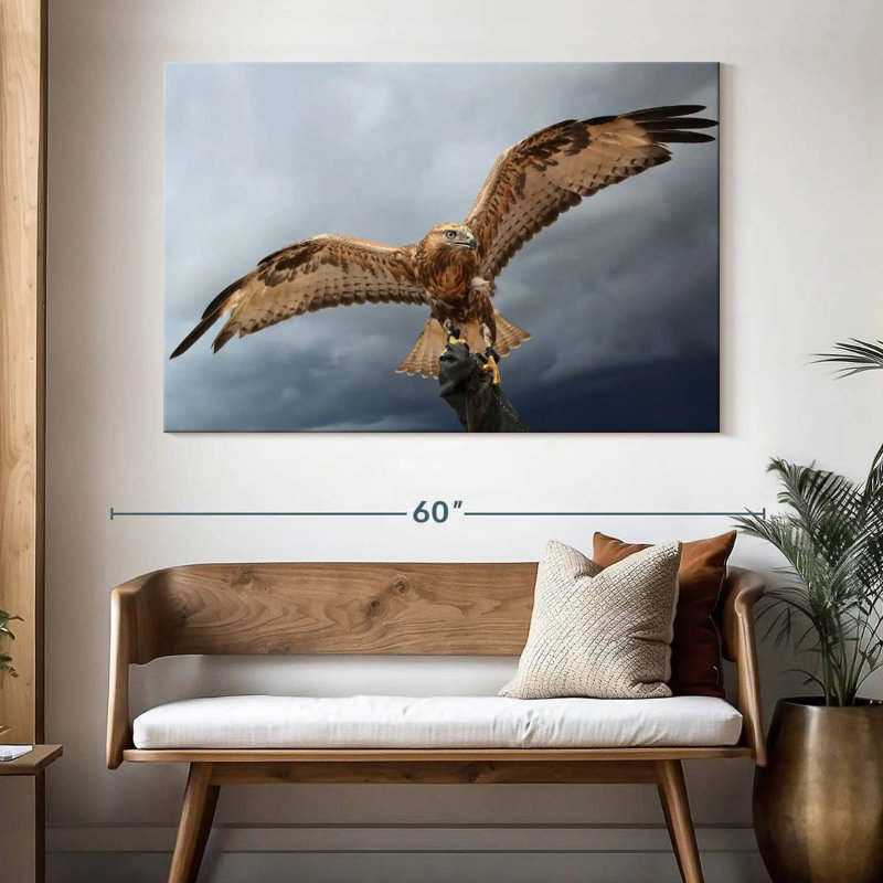 Brampt Falcon On Gauntlet, 34" H x 51" W
