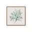 «Coastal Sagebrush Whisper», reproduction d'art-1443814357-1443814356