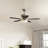 Cassidy 36'' Ceiling Fan-50133215