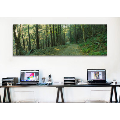 " Trees In A National Park, Shenandoah National Park, Virginia, USA " by Panoramic Images