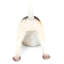 Animals Figurines & Sculptures