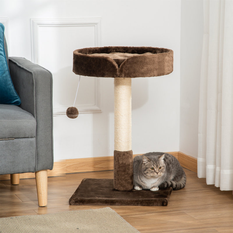 Northborough Cat Perch, Brown