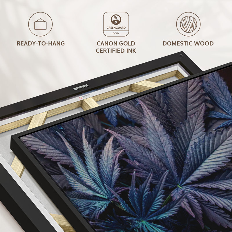 Floral et botanique, "Impression sur toile de feuilles de marijuana mauves", H 9 po x l 13 po