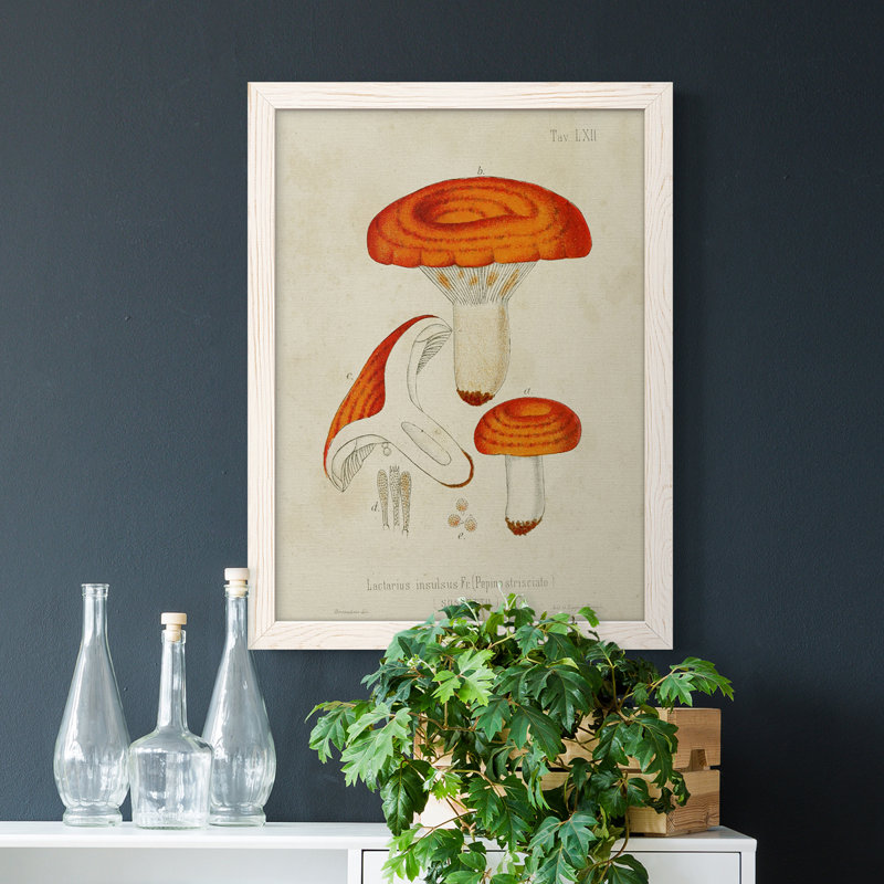 Mushroom Variétés, reproduction d'art sur toile, Cadre blanc, H 44 po x l 31 po x P 1 po