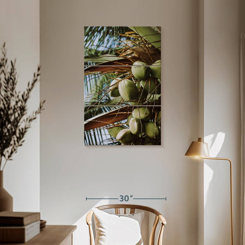 Harnek Fresh Coconuts, 57" H x 36" W