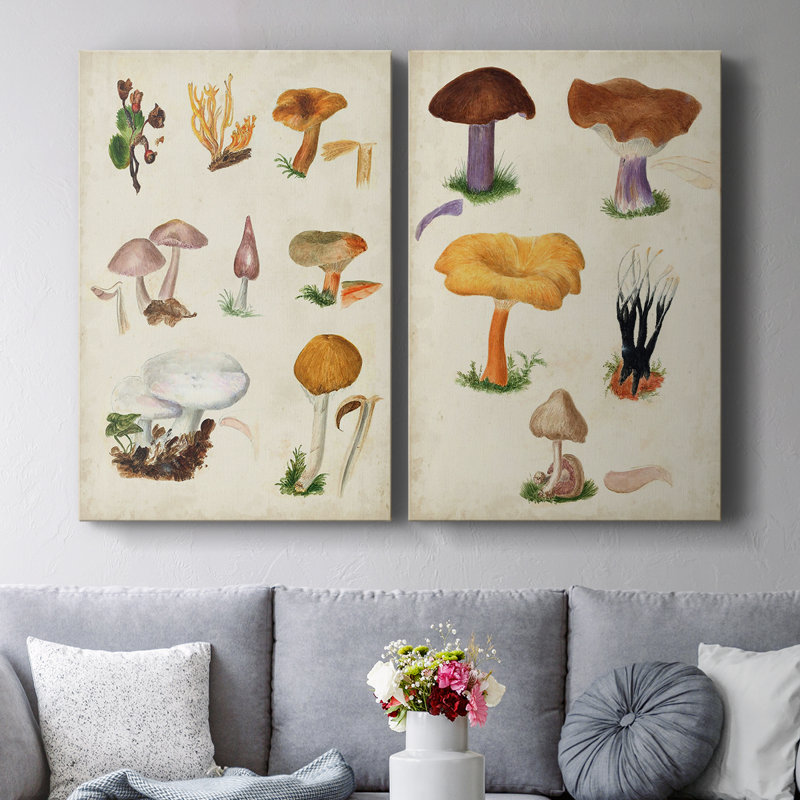 Toile tendue avec châssis d'espèces de champignons VI-Premium - prête à être accrochée, H 18 po x l 24 po