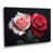 Toile tendue