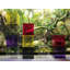 Rangement optique pour cubes-2064471-2064476