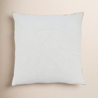 Riggs 20" x 20" Linen Throw Pillow
