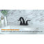Centerset 2-handle Bathroom Faucet with Drain Assembly-65123630