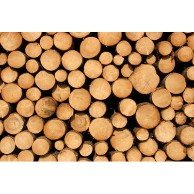 Stacked Logs by Pojbic