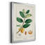 Turpin Tropical Botanicals V, reproduction d'art encadrée-88436655-88436657