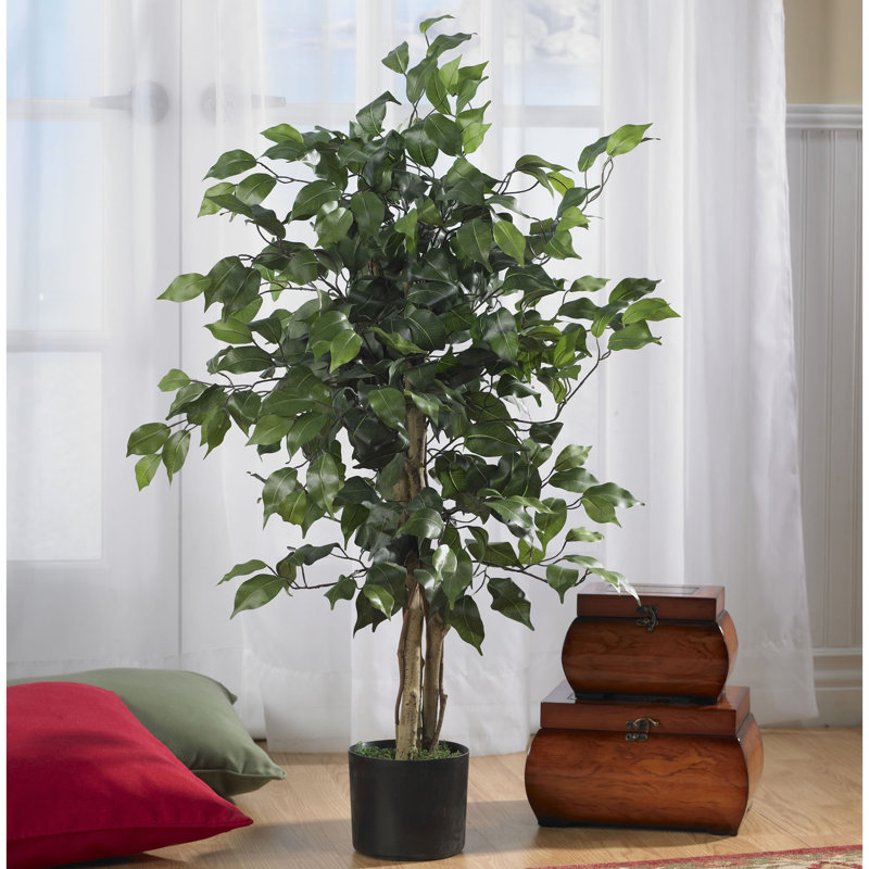 Arbre ficus artificiel en pot, H 72 po x l 35 po x P 35 po