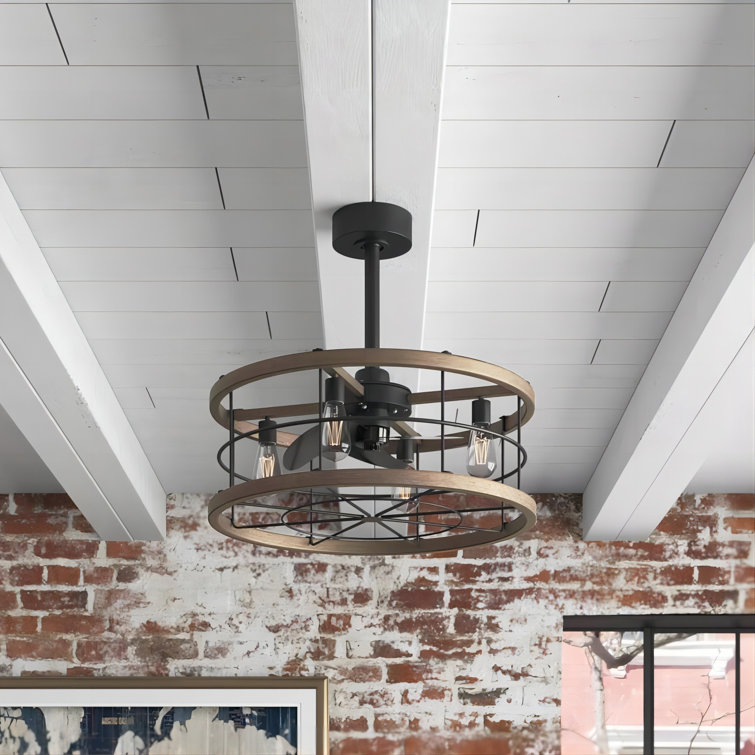 24" Monson 3-Blade Caged Ceiling Fan with Remote Control and Light Kit