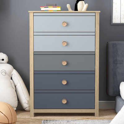 Bustillo 30.7'' Wide 5 -Drawer Chest
