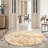 Plush Round Area Rug, Soft Fuzzy Shag Rug for Bedroom Living Room Balcony, Fluffy Carpet for Home Decor, Non-Slip Cozy Decorative Rug.-905835045