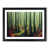 Black Framed selected