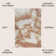 Cordier Abstract Two-Tone Modern Orange/Cream Rug
