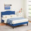 Structure de lit tapissier Auxter-880876060-880876062