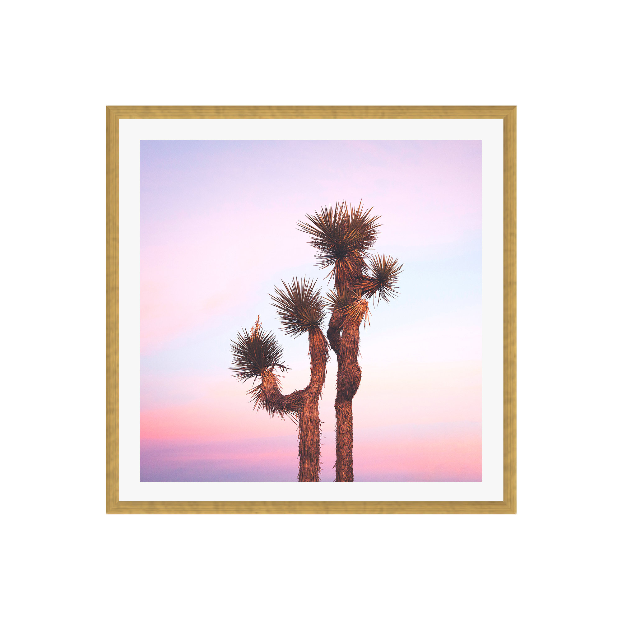 Desert Skies by Catherine McDonald, Natural Single Picture Framed, 30" H x 30" W x 2" D, Yes