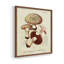 «Mushroom Variétés I», ensemble de 4 encadrées-434044224-434044351