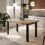 Extendable Metal Base Dining Table-1764893821-1764893818