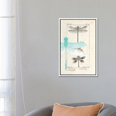 Field Guide I by Kimberly Allen - Print on Canvas