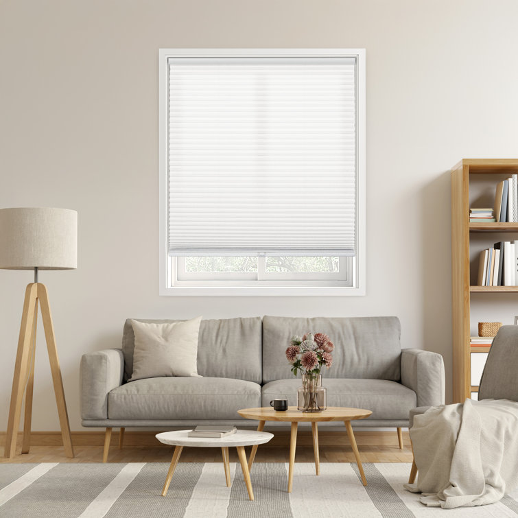 Nolea Cordless Light Filtering Cellular Shade