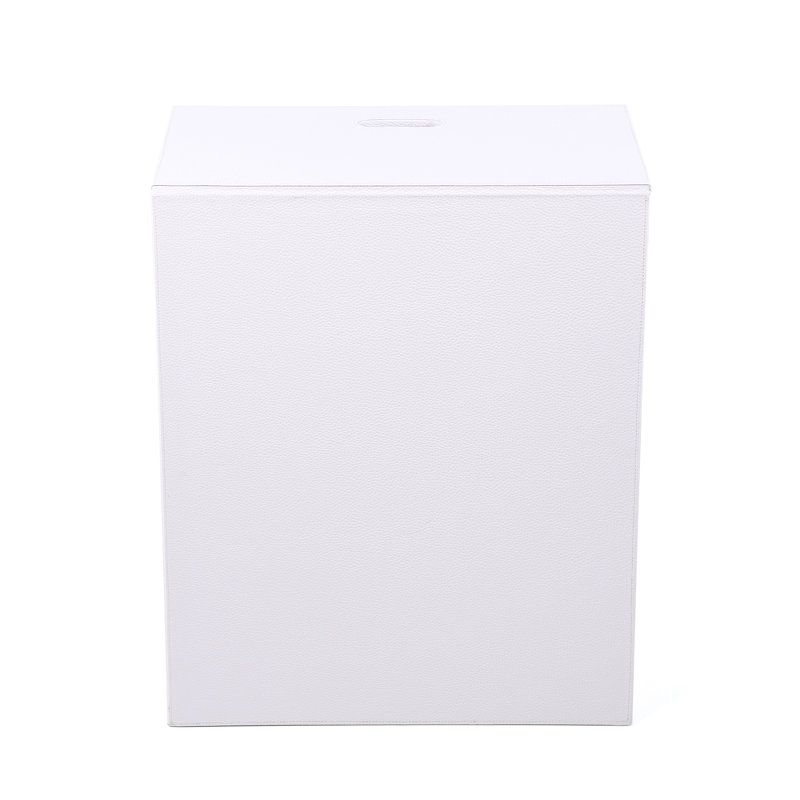 Leveille Plastic Laundry Hamper with Handles, White