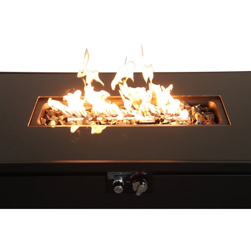 Apisan 25'' H x 43'' W Steel Outdoor Fire Pit Table with Lid
