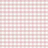 Little Explorers 2 Two Tone Gingham Wallpaper Roll