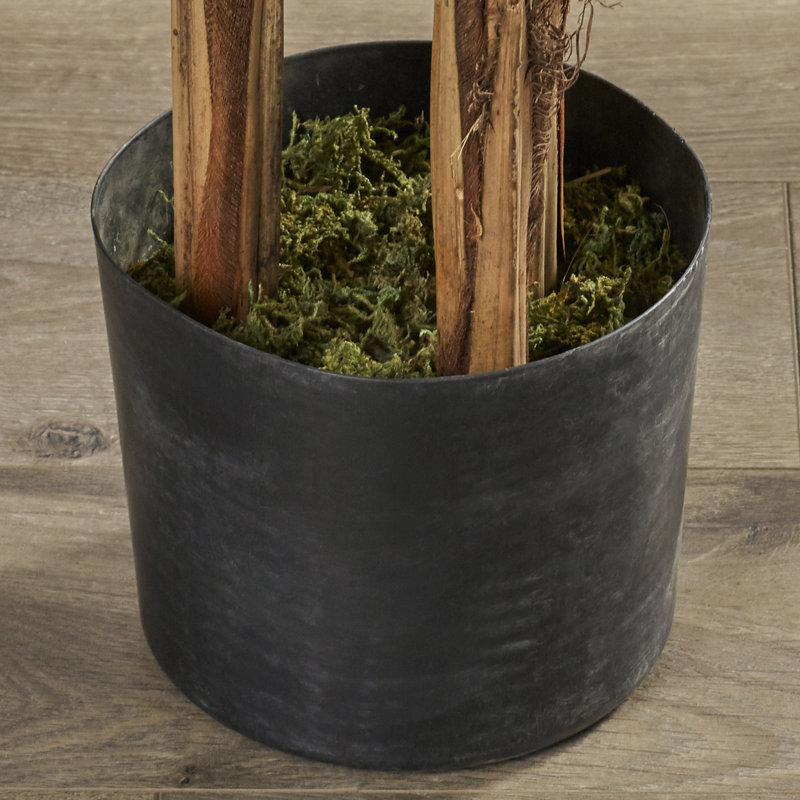 Faux Palm Tree in Pot, 72" H
