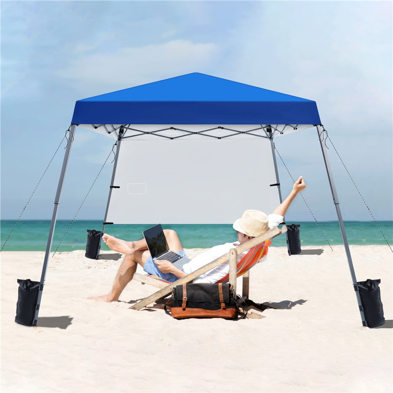 Camdyn 8 Ft. W x 8 Ft. D Iron Pop-Up Canopy with Side Panel, Blue