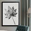 Feuille moderne monochromatique abstraite avec veines complexes, style de photographie noir et blanc à contraste élevé. Toile encadrée 24 "x 36" avec cadre en bois noir