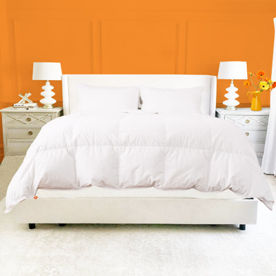 Couette en plumes d'oie blanches