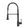 Apollo Pull Down Single Handle Kitchen Faucet with Side Spray and Accessories