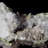 Flavien Crystal