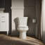 Wellworth® 1.28 GPF Water Efficient Round Two-Piece Toilet (Seat Not Included)-10979772