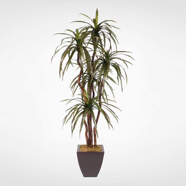 Brayden Studio® 72'' Faux Yucca Tree in Metal Planter | Wayfair