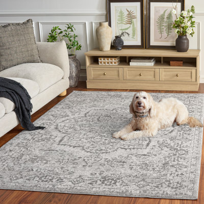 Tapis oriental Chamber Chamber Performance
