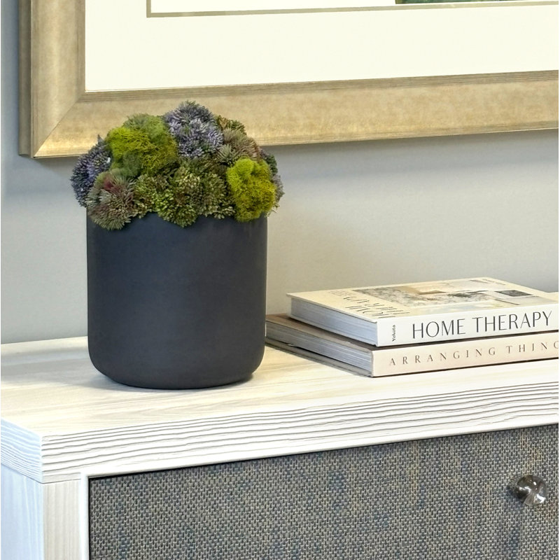 Faux Succulent Plant in Fiberstone Planter, 11" H x 9" W x 9" D, Round, Black