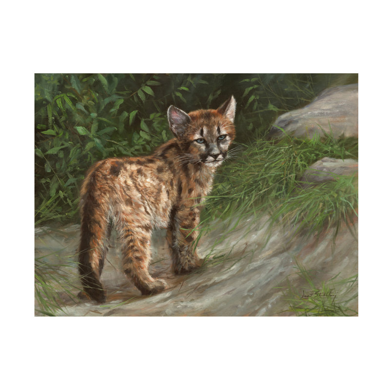 David Stribbling Cougar Cub Canvas Art, 14" H x 19" W