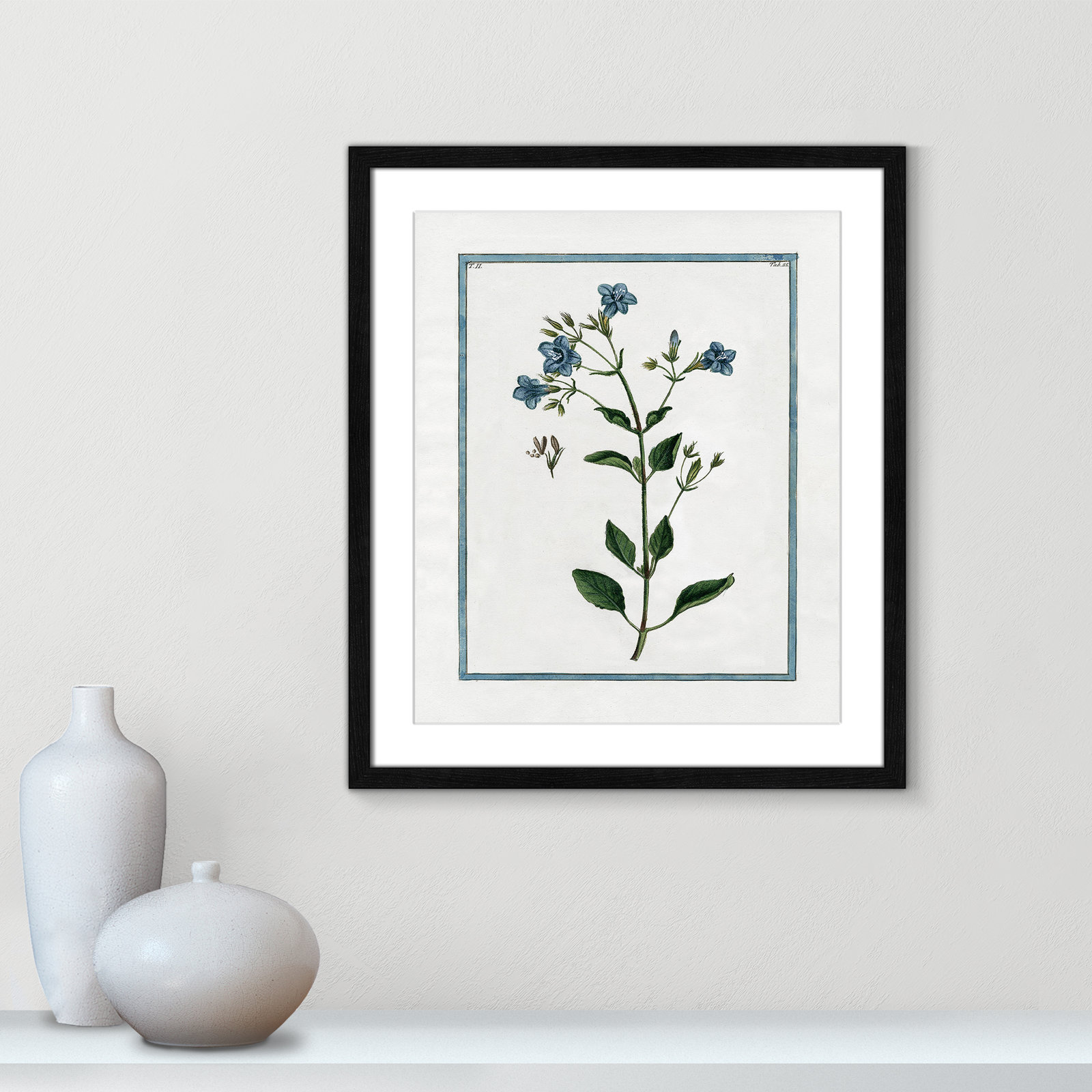 Colombe "Shabby Elegance Botanical II" Print, Black Framed, 16" W x 19" H