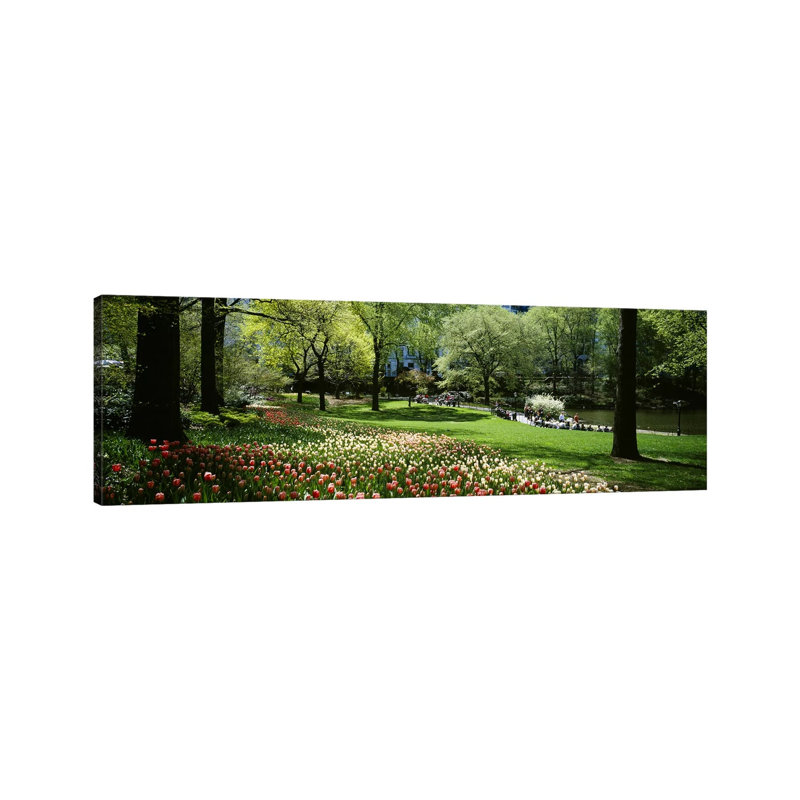 Flowers In A Park, Central Park, Manhattan, New York City, New York State, USA - Wrapped Canvas Panoramic Print
